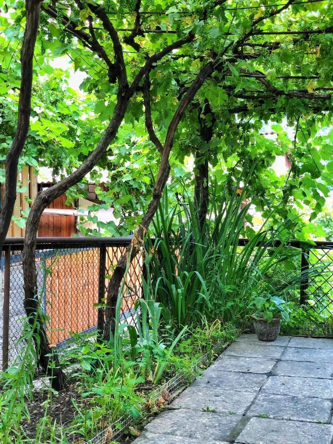 קאחתי Achela'S Guesthouse מראה חיצוני תמונה