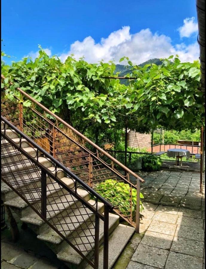 קאחתי Achela'S Guesthouse מראה חיצוני תמונה