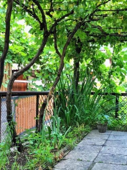 קאחתי Achela'S Guesthouse מראה חיצוני תמונה